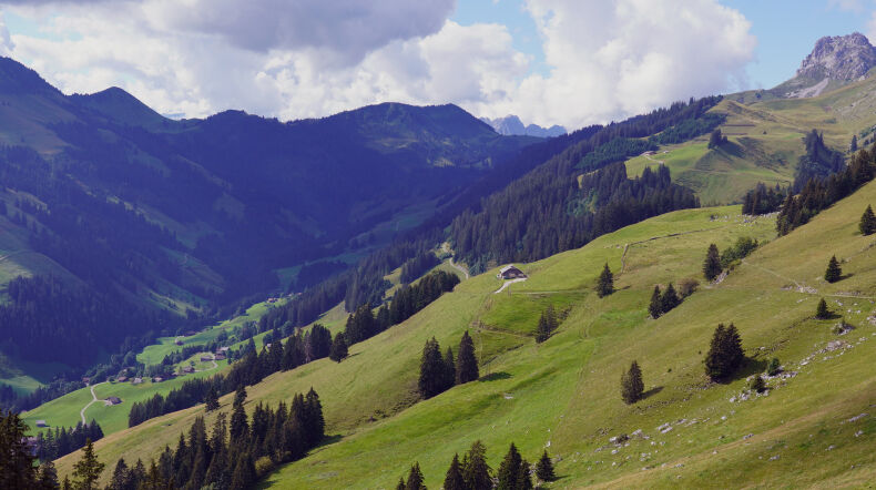 Wandern vom Berghotel zur Sau in Abländschen auf die Alp Fideritschi